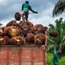Harga Referensi CPO Menguat Imbas Meningkatnya Permintaan dari India dan China