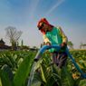 Industri Tembakau Melemah, Produksi Rokok Catat Rekor Terendah
