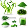 Kenali Manfaat Spirulina, Sumber Nutrisi Lengkap untuk Gaya Hidup Sehat