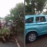 VIDEO: Taksi Remuk Tertimpa Pohon Tumbang di Tangerang
