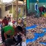 Desa Batur Viral! Catat Kurban Terbanyak se-Indonesia 197 Sapi dan 523 Domba!