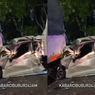 VIDEO: Mobil Mewah Terjepit di Antara Dua Truk Sampai Hancur
