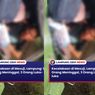 Kecelakaan Maut Dua Mobil di Mesuji, 1 Orang Tewas Mengenaskan