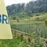 BRI Kucurkan KUR Rp83,38 Triliun, Sektor Pertanian Paling Dominan
