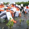 Tumbuhkan Cinta Lingkungan, Pertamina dan Siswa SD Tanam Puluhan Ribu Mangrove