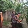 Pohon Raksasa Tumbang, Ayah dan Dua Anak Tertimpa di Sukabumi