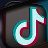 Kata-Kata Viral TikTok Seperti "Skibidi" dan "Delulu" Resmi Masuk Kamus Cambridge