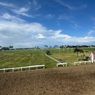 Indonesia's Horse Racing (IHR)-Merdeka Cup 2025: Track Cantik Tepi Pantai di Pangandaran Jawa Barat Jadi Tuan Rumah