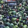 7 Anggota Brimob Masih Diperiksa Propam Polri Terkait Insiden Rantis Tabrak Ojol