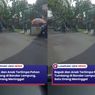 Bapak dan Anak Tertimpa Pohon Tumbang, 1 Orang Tewas Mengenaskan