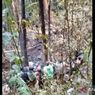 Delapan Korban Tewas Heli Jatuh di Kalsel Dievakuasi ke RS Bhayangkara 