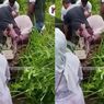 VIDEO: Avanza Bawa 6 Orang Penumpang Terjun ke Jurang, Sopir Terjepit