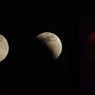 Gerhana Bulan Total Hiasi Langit Jakarta, Bulan Purnama Tampak Merah Tembaga