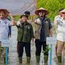 Menhut Tetapkan Target Rehabilitasi Mangrove 15.387 Hektare di Tahun 2025