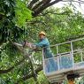 Guangdong Naikkan Status Tanggap Darurat Hadapi Topan Ragasa