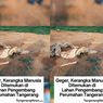 Kerangka Manusia Ditemukan Berserakan di Perumahan Tangerang