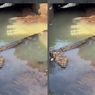 Jasad Perempuan Mengambang di Sungai Gegerkan Warga Bandung Pagi Ini