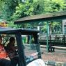 Hore! Taman Margasatwa Ragunan Resmi Buka Malam Hari