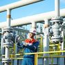 Pastikan Tata Kelola Bisnis Lebih Baik, Pertamina Terapkan Standardisasi Global