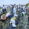 Bersama Warga, PLN Rehabilitasi Mangrove Lindungi Pesisir Utara Jateng dari Banjir Rob
