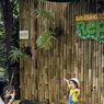 Bandung Zoo Resmi Beroperasi Lagi, Pelajar Bisa Masuk Gratis