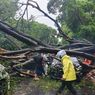 Pohon Tumbang di Dharmawangsa Tewaskan 1 Orang, 5 Mobil Rusak