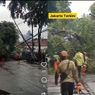 TransJakarta Koridor 4 dan Rute 4D Dialihkan Gegara Ada Pohon Tumbang