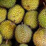 Malaysia Bakal Tetapkan 7 Juli sebagai Hari Durian Nasional