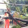 4 Mobil Tertimpa Pohon dan Tiang Listrik Tumbang  di Jaktim