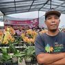 Cerita Cuan Pedagang Bunga Anggrek di Ragunan, Terjual Sampai 5000 Tangkai