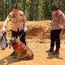 Reno, Anjing Pelacak K-9 Polda Riau Gugur Saat Cari Korban Banjir Bandang di Agam