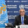 WHO: Influenza A H3N2 Dominasi Musim Flu Global Tahun 2025