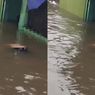 Detik-detik Lansia di Bekasi Terseret Arus Banjir hingga Meninggal Dunia