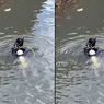 Anak Tenggelam di Sungai Binong Bandung, Kondisi Tewas Mengenaskan