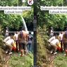 Pelajar SMP Tewas Tenggelam di Pemandian Lubuak Bonta