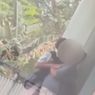 Ayah Mahasiswa PNJ yang Kepergok Ciuman Sesama Jenis Datang Meminta Maaf hingga Bersujud
