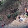 Pesepeda Tewas Terjun ke Jurang di Malang, Kondisi Mengenaskan