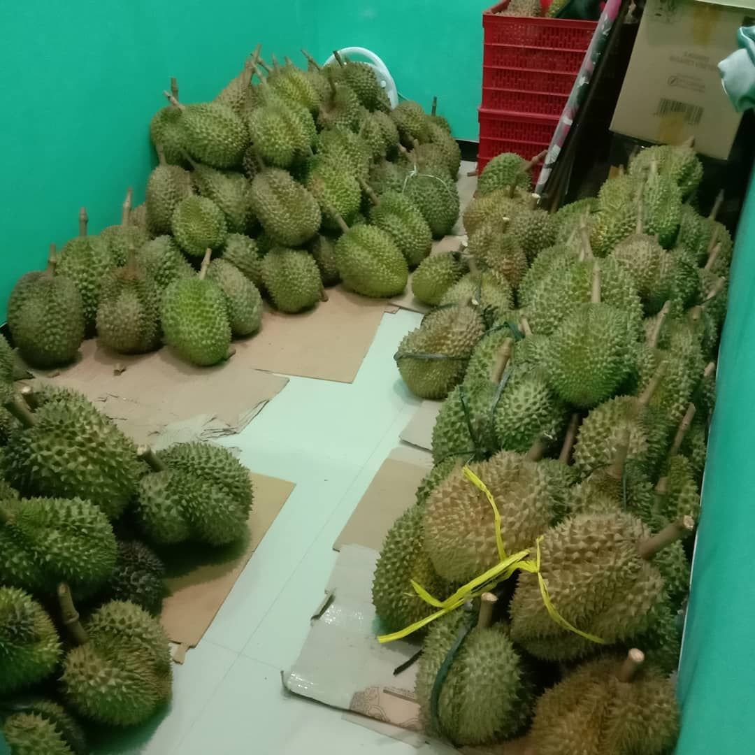 Buah Durian <b>(Instagram)</b>