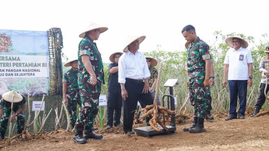 Kasad Bersama Mentan Panen Raya Jagung dan Singkong <b>(Ist)</b>