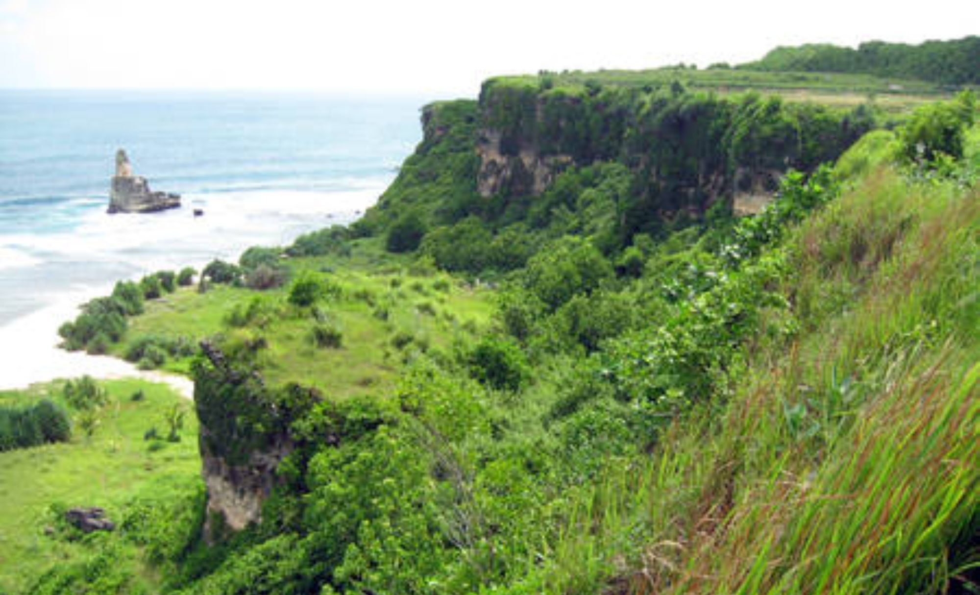 Ilustrasi Geopark Gunungsewu <b>(Global Geopark)</b>