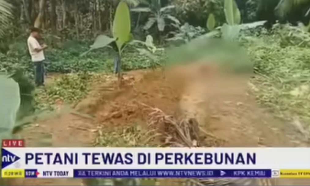 Petani tewas <b>(Instagram @officialnusantaratv)</b>