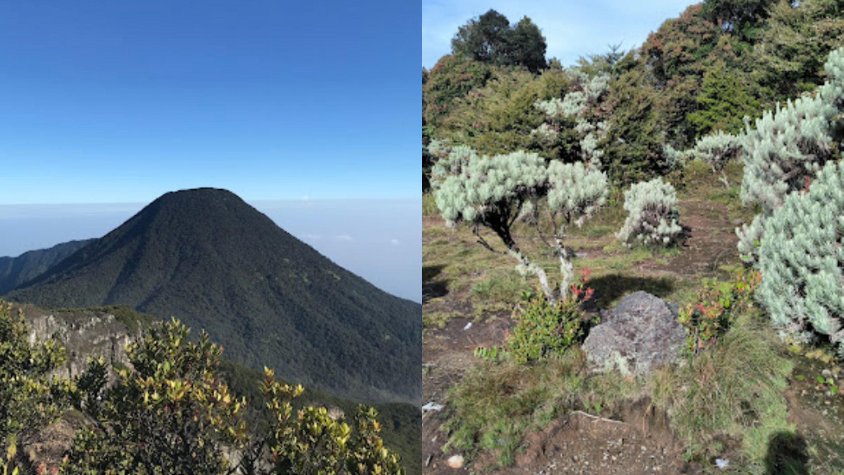 Gunung Gede Pangrango <b>(Google Maps)</b>