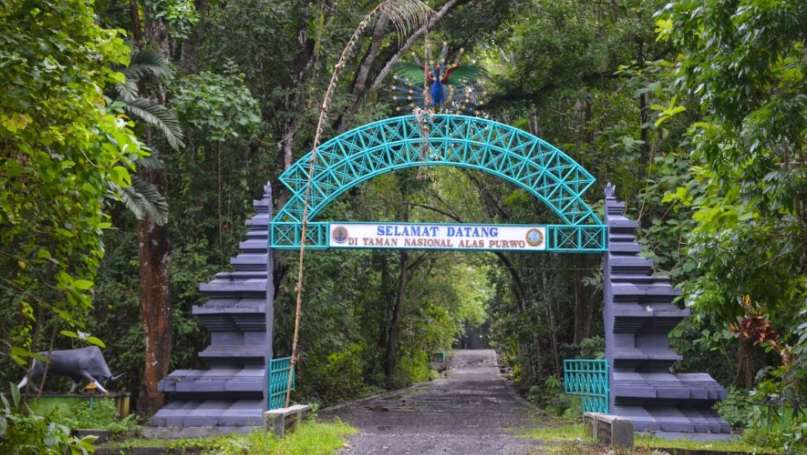 Hutan Alas Purwo <b>(Google Maps)</b>