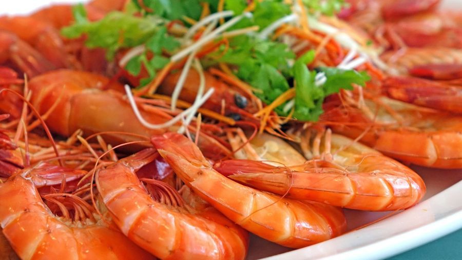 Ilustrasi makanan udang <b>(Pixabay @cegoh)</b>