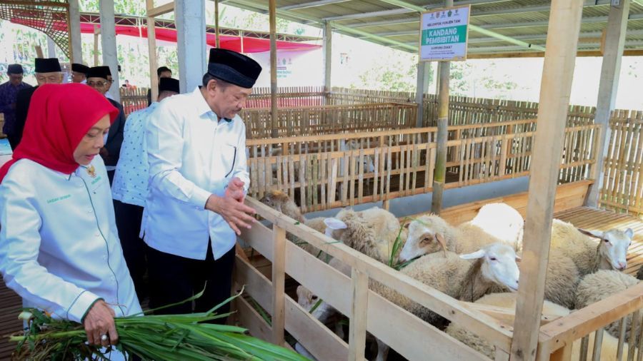 Baznas luncurkan Balai Ternak di Wonosobo  <b>(Istimewa)</b>