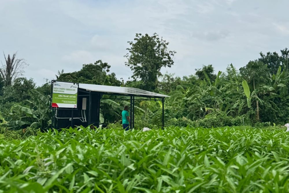 Pertamina mengoptimalkan pemanfaatan Energi Baru Terbarukan (EBT), mengembangkan energi pembangkit listrik tenaga surya (PLTS) dalam program swasembada energi berbasis desa di Desa Uma Palak Lestari/Foto: Istimewa 