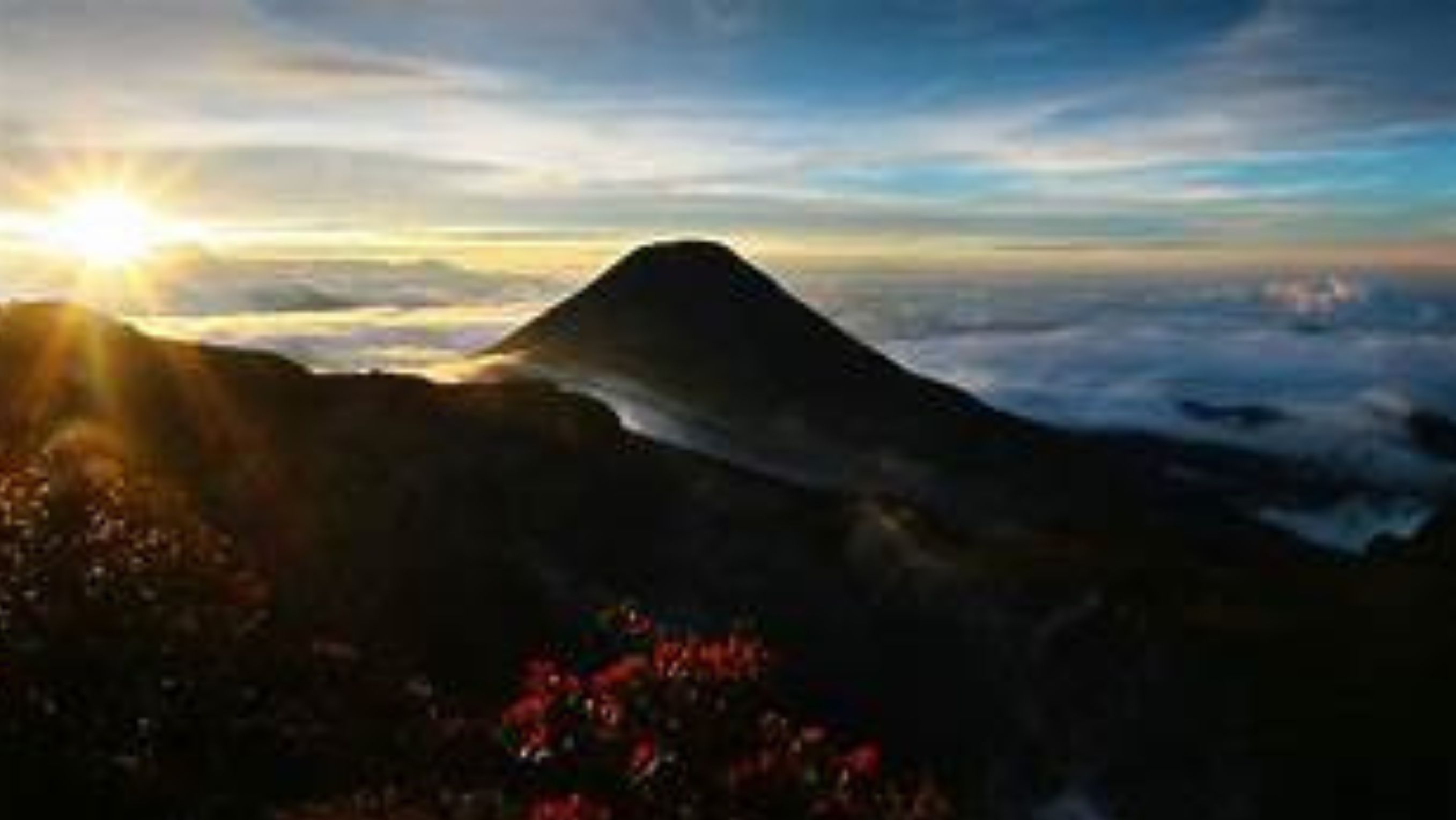 Ilustrasi - Gunung Gede Pangrango <b>(Ntvnews)</b>