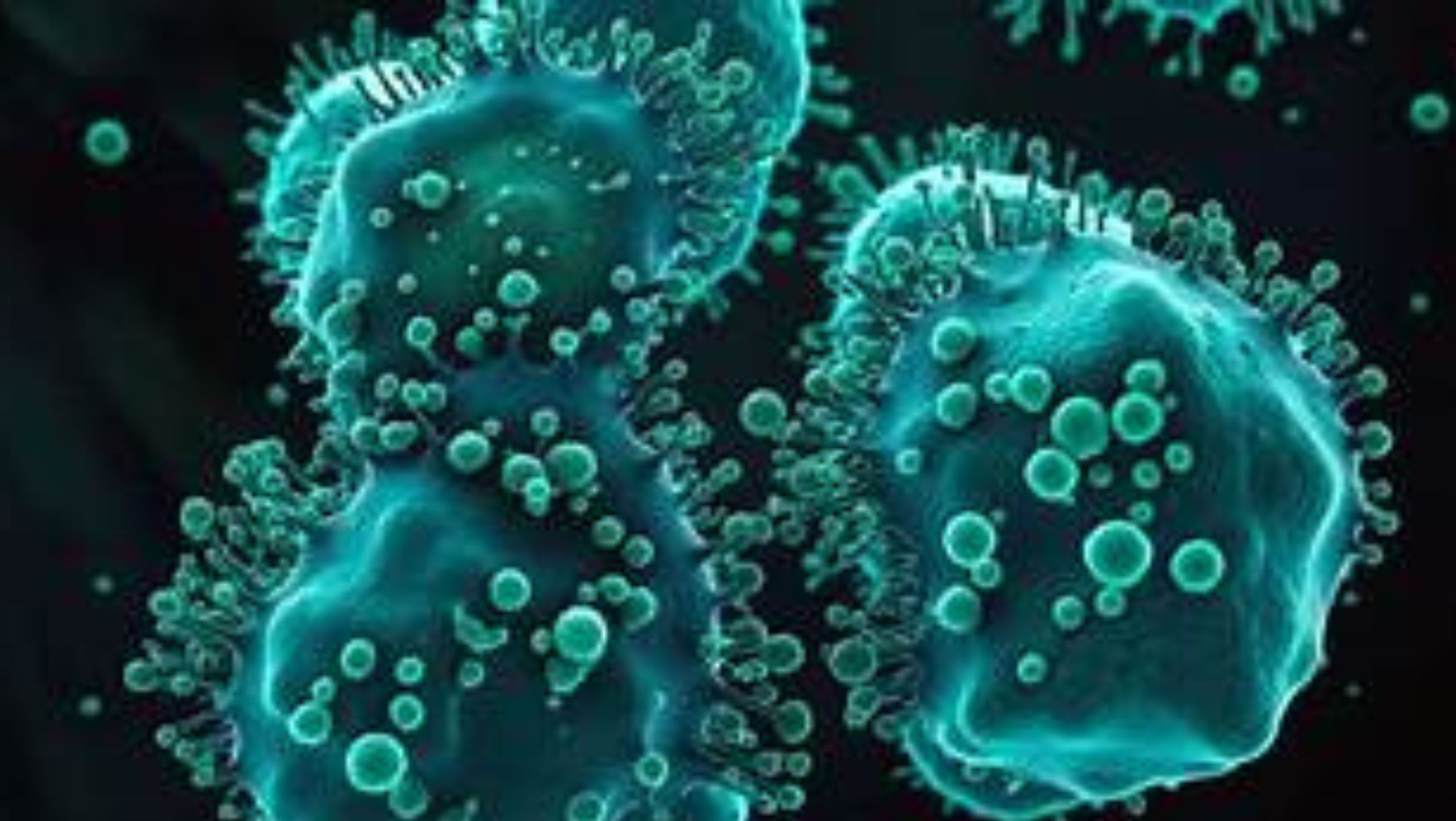 Ilustrasi - Virus <b>(Ntvnews)</b>