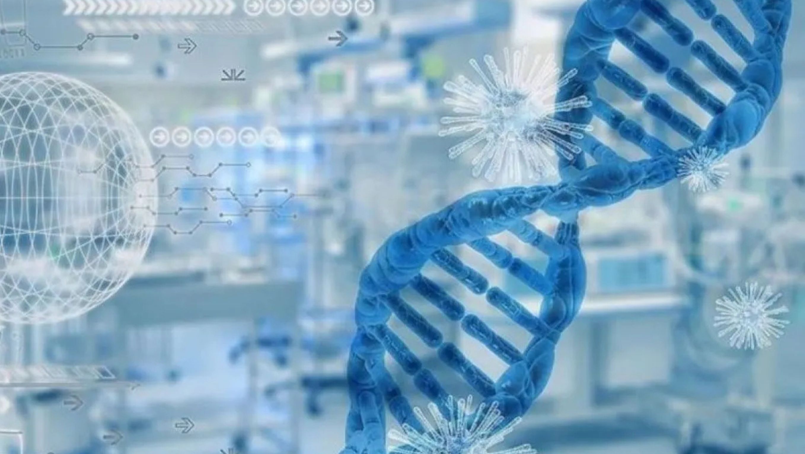 Sebanyak delapan orang dilaporkan meninggal dunia di Tanzania, Afrika, akibat dugaan infeksi virus Marburg, menurut Direktur Jenderal Organisasi Kesehatan Dunia (WHO) Tedros Adhanom Ghebreyesus pada Rabu 15 Januari 2025. <b>((Antara))</b>