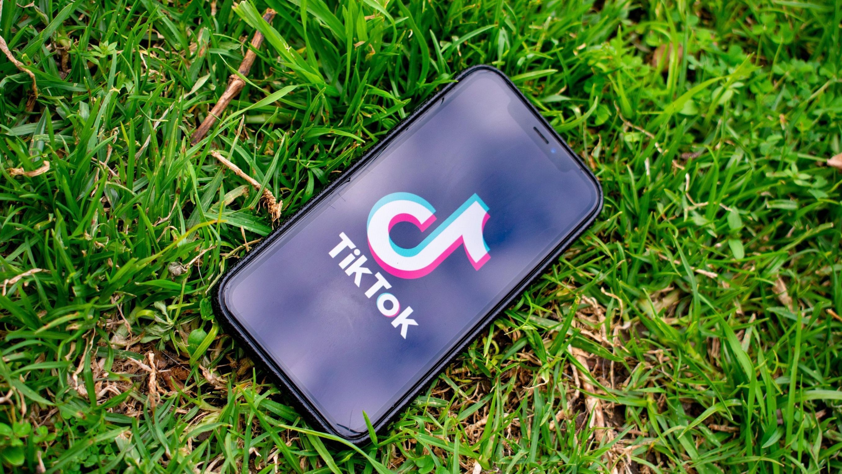 Ilustrasi TikTok <b>(Pixabay)</b>